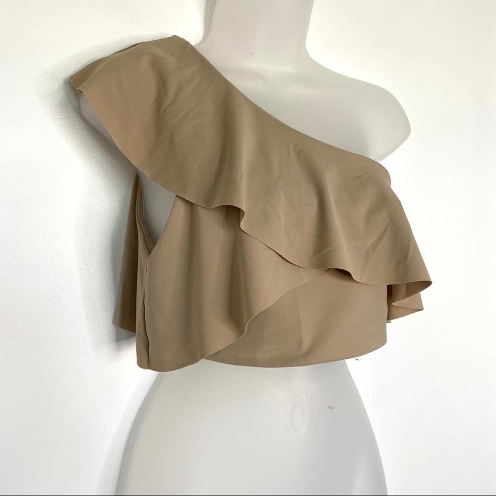 Le Fou Wilfred Aritzia Chantille One Shoulder Tee